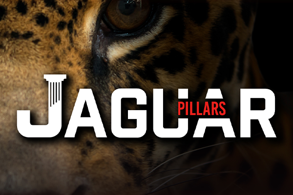 jaguar eye with the words Jagura Pillars