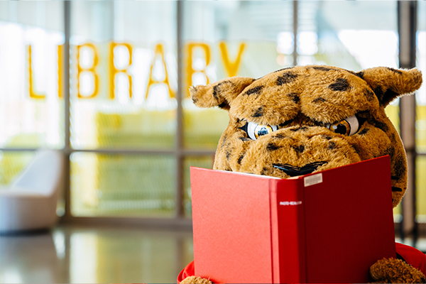 mascot jax reading a book