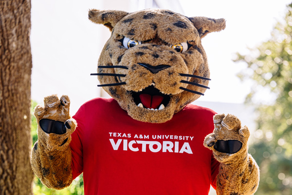 jaX the mascot posing outside near a tree on campus
