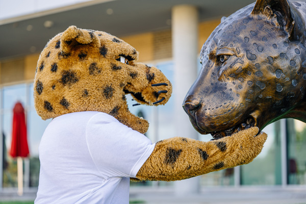 Mascot jaX standing face to face with the campus jaguar statue.