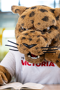 jaX the mascot reading a book in the library