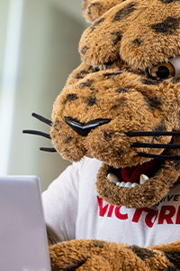 jaX the mascot working on a laptop