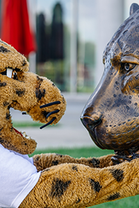 jaX the mascot standing face to face with the jaguar statue in front of Commons