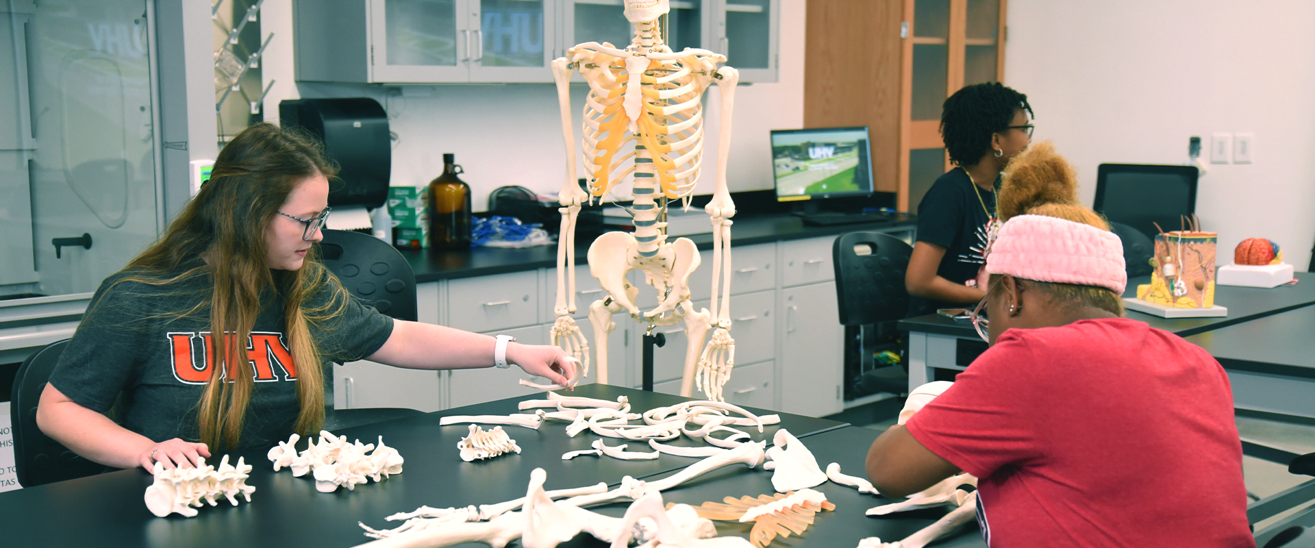 A classroom scene with biology students working on assembling a human skeleton model.