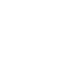 Dollar Icon