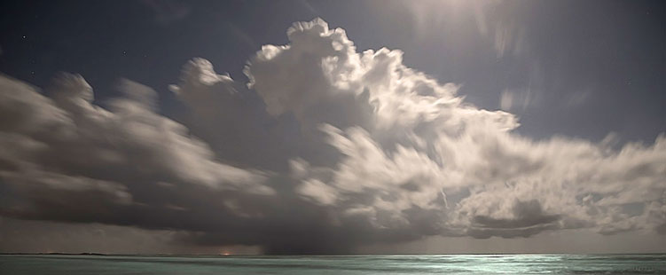 Gulf Moon, 2022 by E. Dan Klepper